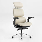 Forma, Ergonomic Executive Office Chair