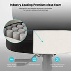 Axion, Ergonomic Hybrid Chair