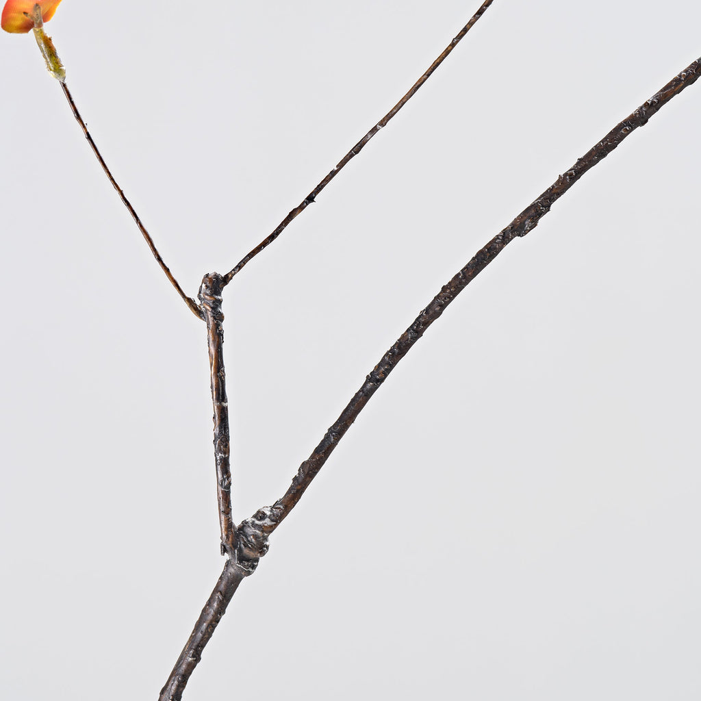 ALD-01, 21"/35" H Fall Ficus Branches