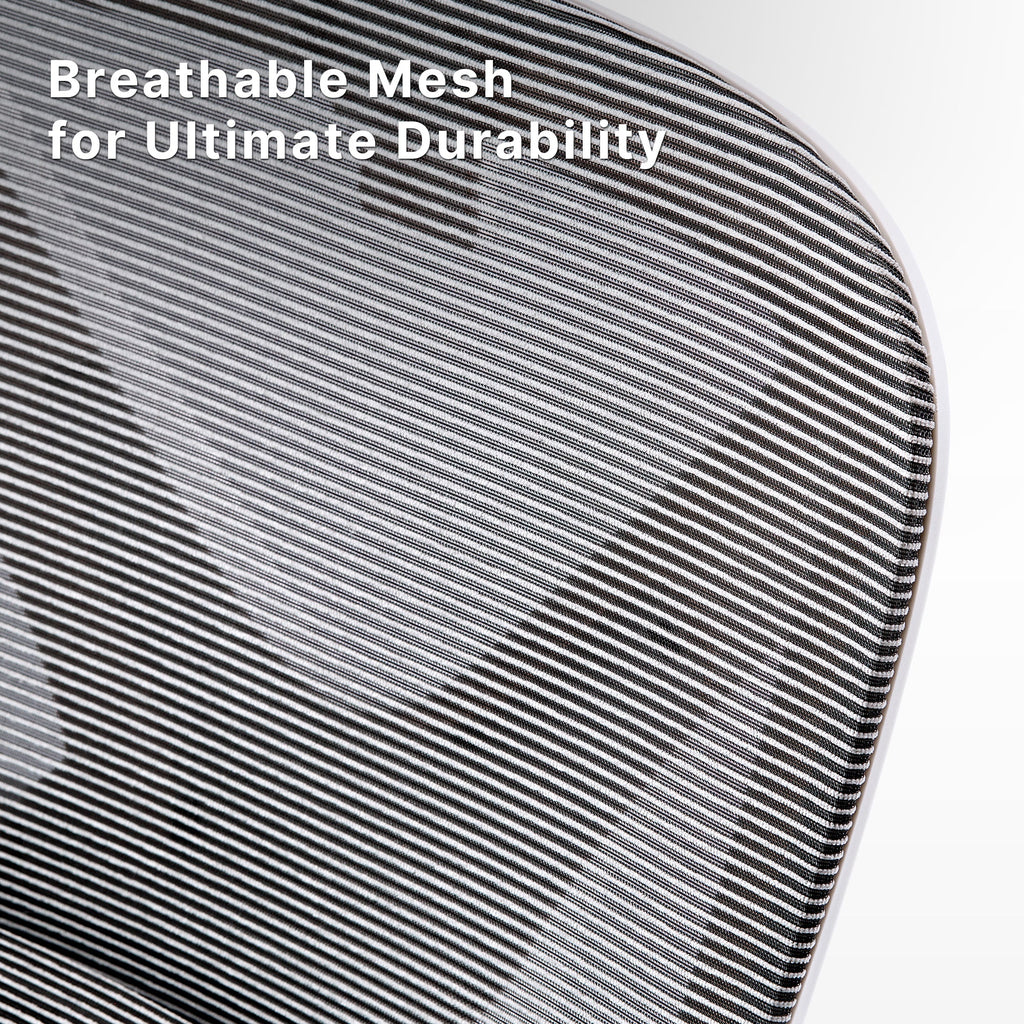 Exis,ergonomic Office Chair