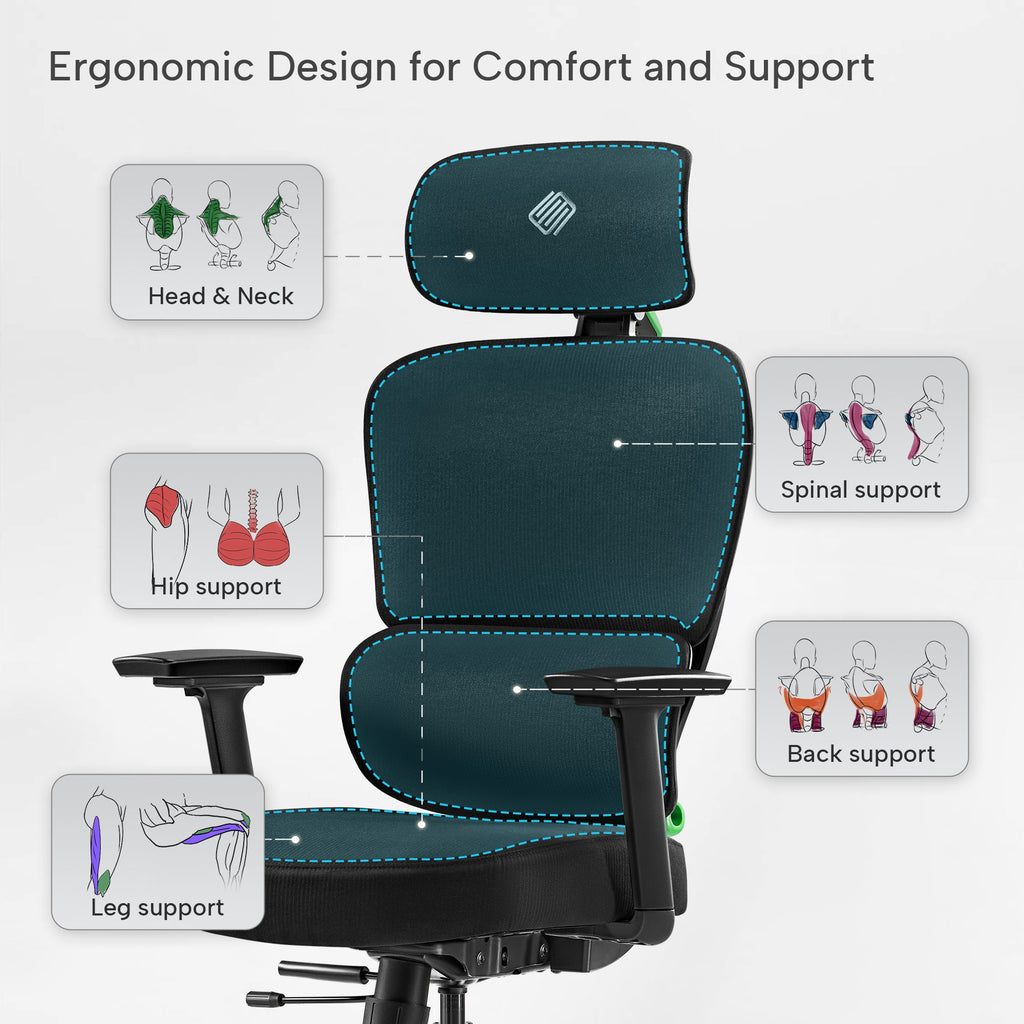 Axion, Ergonomic Hybrid Chair