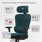 Axion, Ergonomic Hybrid Chair