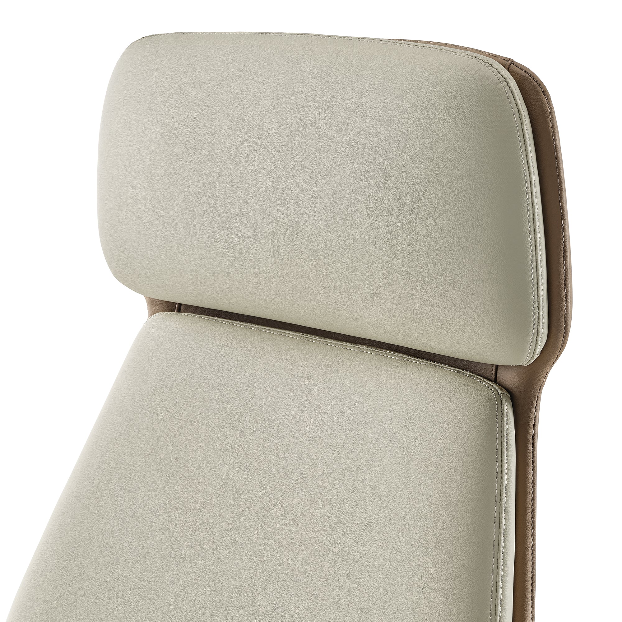 Aric, Faux Leather Executive Office Chair