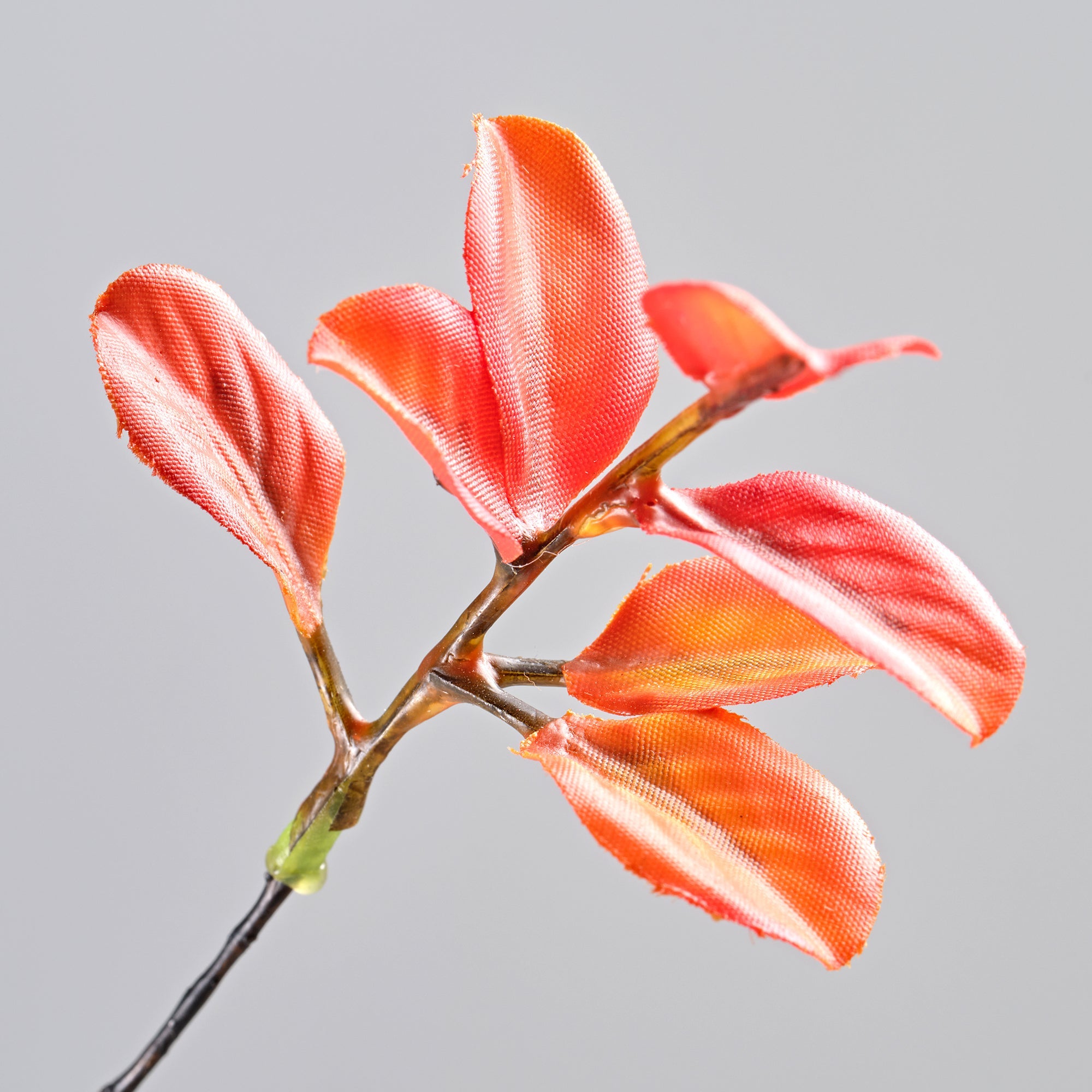 ALD-01, 21"/35" H Fall Ficus Branches