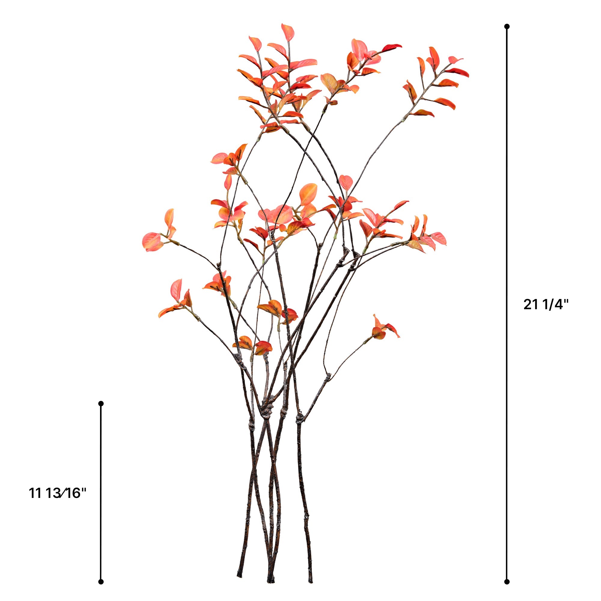 ALD-01, 21"/35" H Fall Ficus Branches