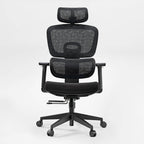 Cyra, Ergonomic Office Chair