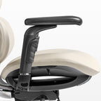 Forma, Ergonomic Executive Office Chair