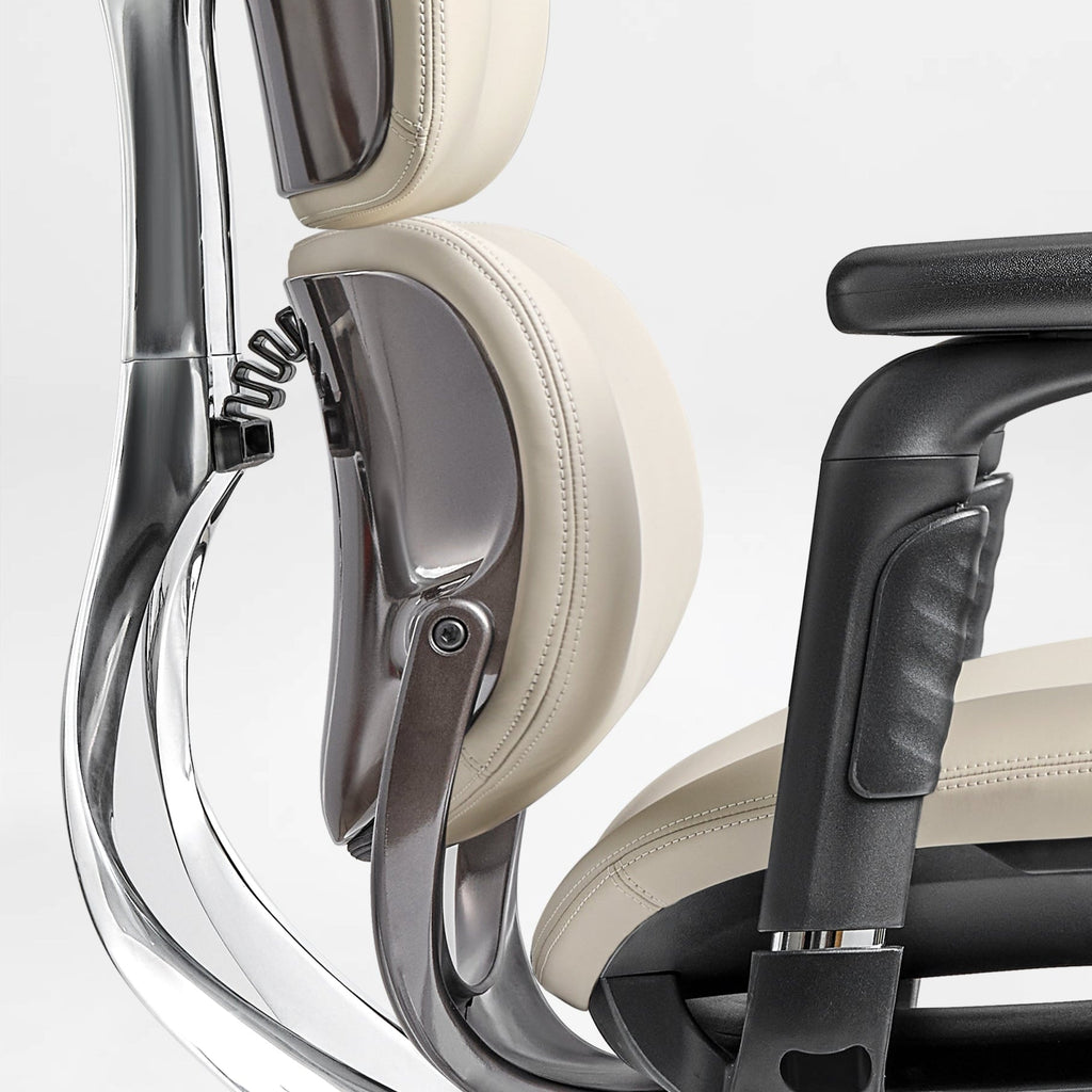 Forma, Ergonomic Executive Office Chair