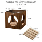 Peek-a-Boo Cat Bed and Side Table