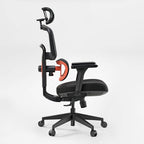 Cyra, Ergonomic Office Chair