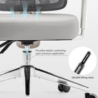 Exis,ergonomic Office Chair