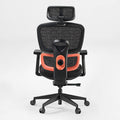 Cyra, Ergonomic Office Chair
