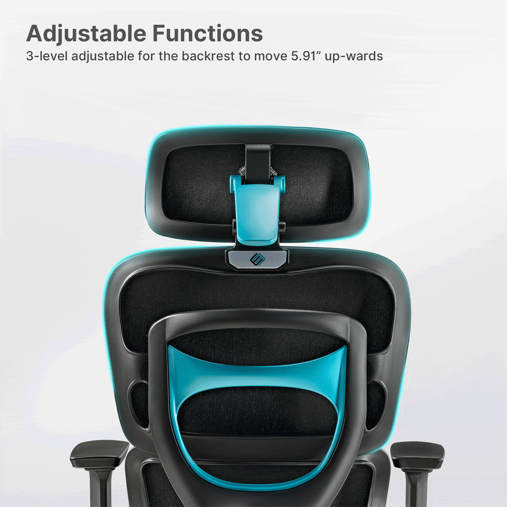 Axion, Ergonomic Hybrid Chair