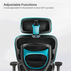 Axion, Ergonomic Hybrid Chair
