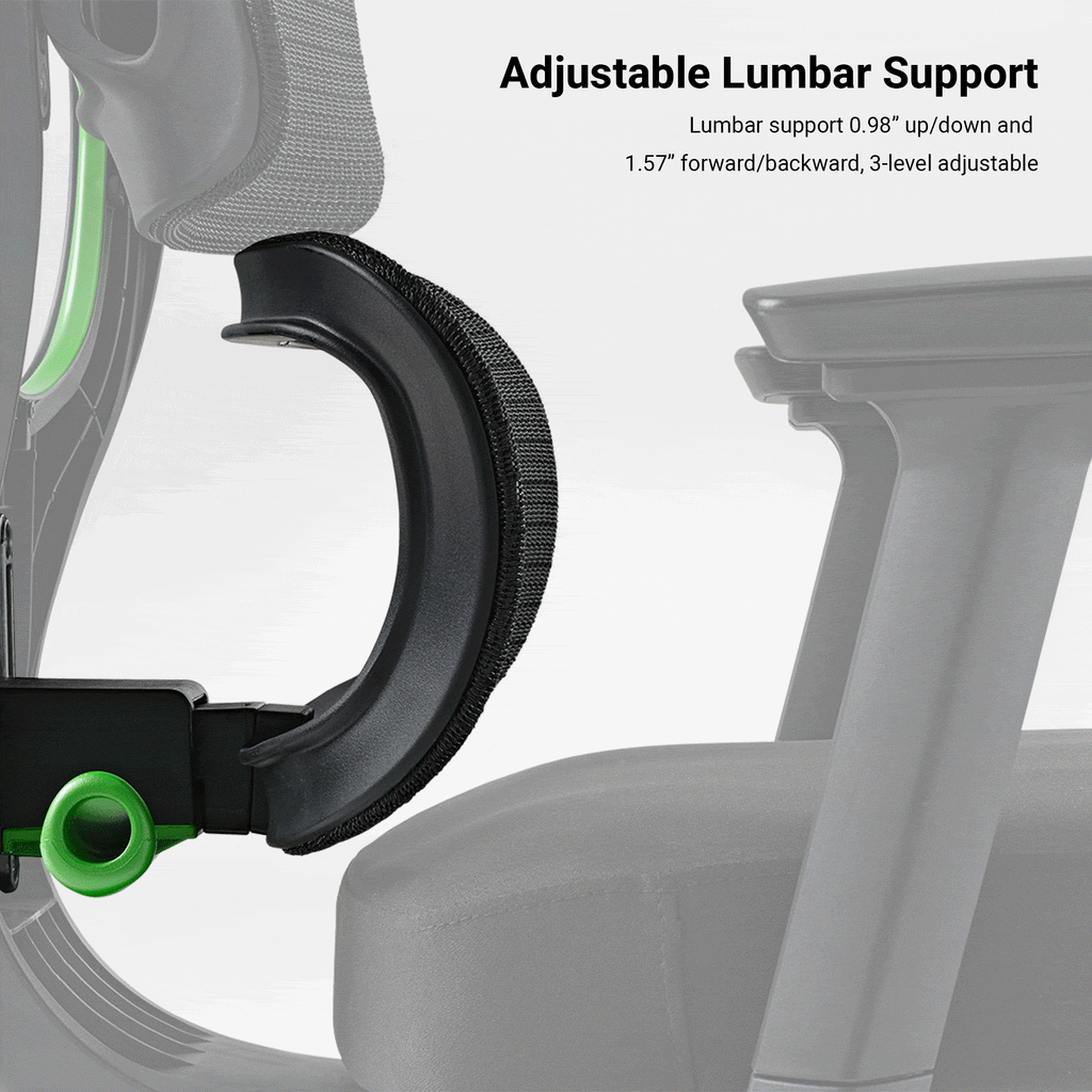 Axion, Ergonomic Hybrid Chair