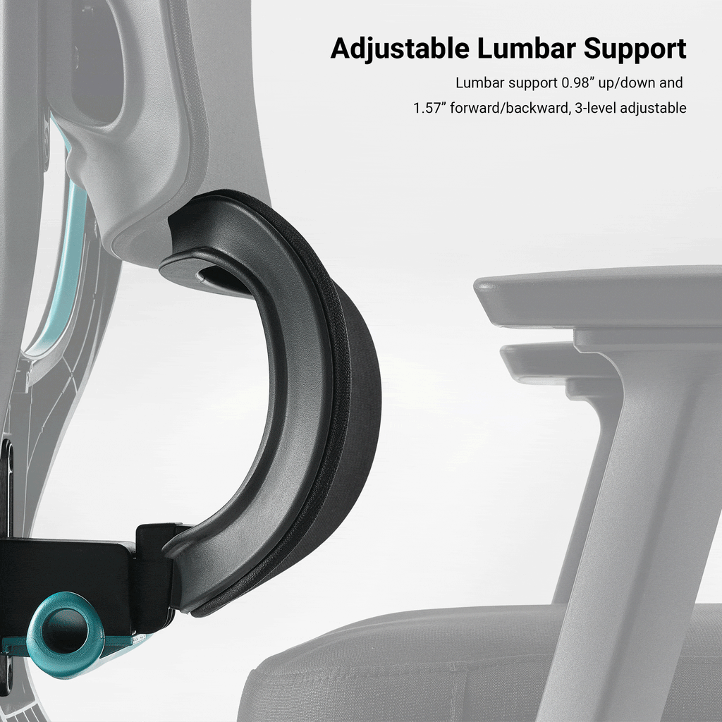 Axion, Ergonomic Hybrid Chair