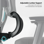 Axion, Ergonomic Hybrid Chair