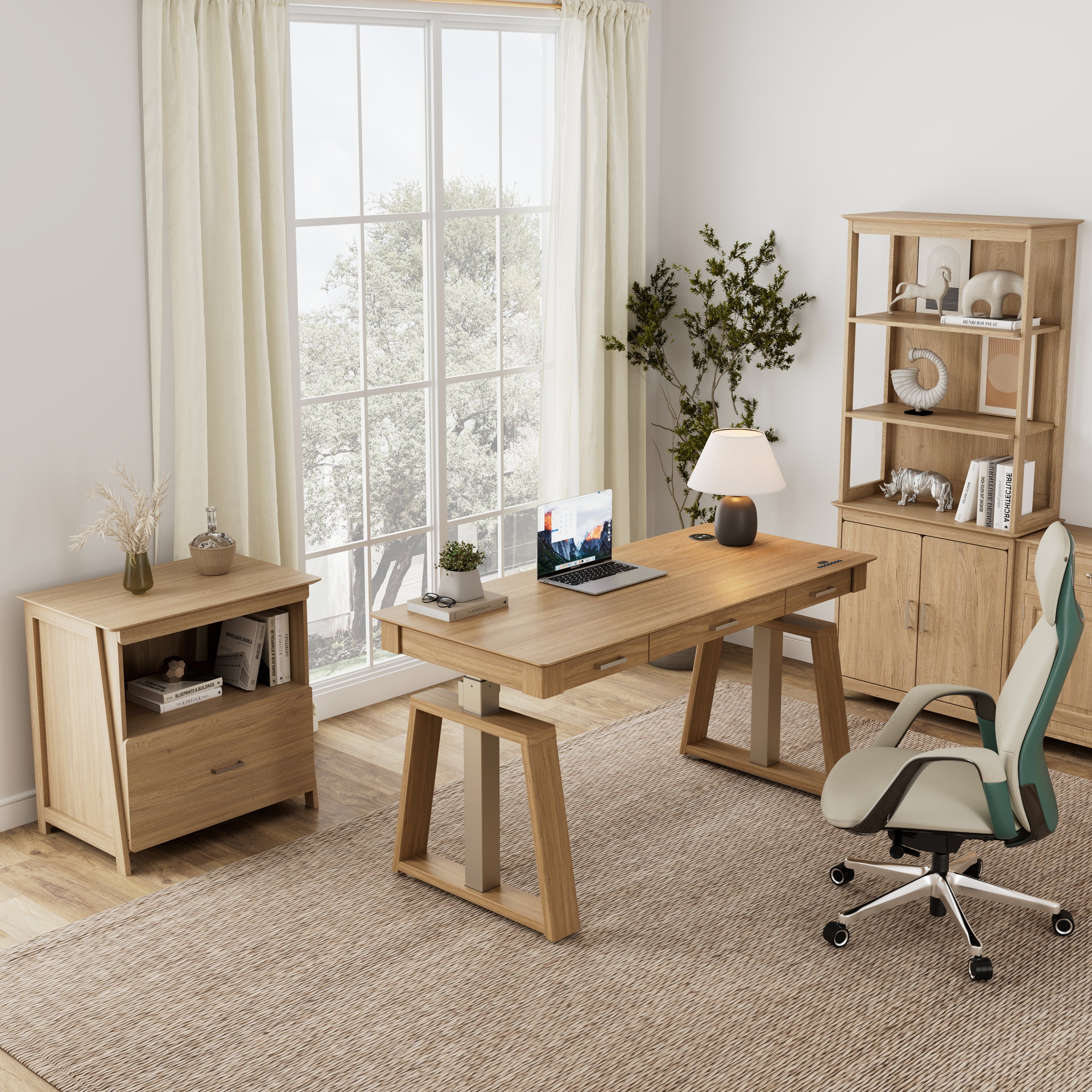 Executive Office Set:ark EL Standing Desk, Chair and Storage