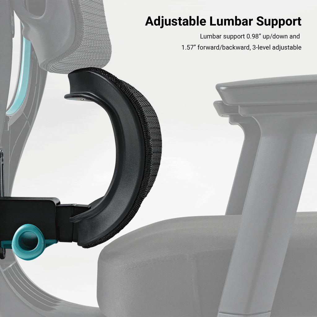 Axion, Ergonomic Hybrid Chair