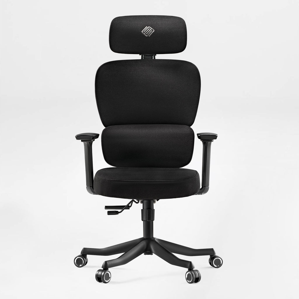 Axion, Ergonomic Hybrid Chair