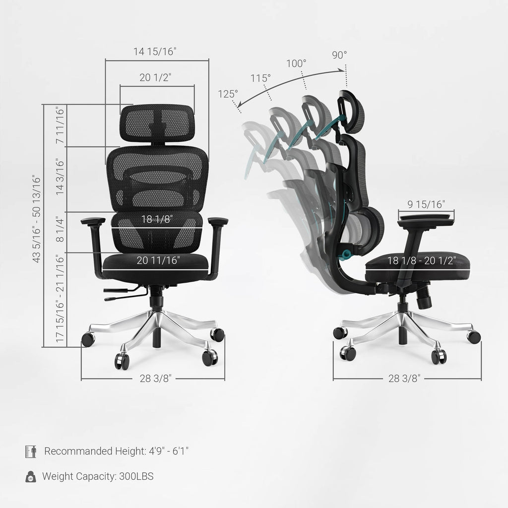Axion, Ergonomic Hybrid Chair