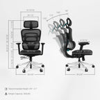 Axion, Ergonomic Hybrid Chair