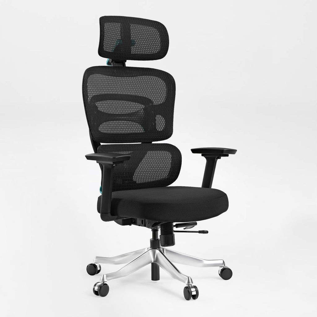 Axion, Ergonomic Hybrid Chair