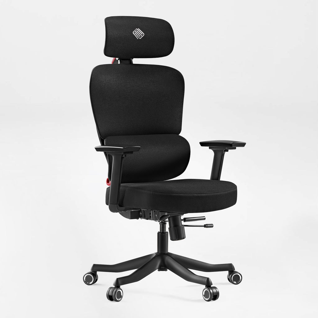 Axion, Ergonomic Hybrid Chair