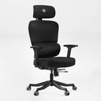 Axion, Ergonomic Hybrid Chair