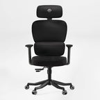 Axion, Ergonomic Hybrid Chair