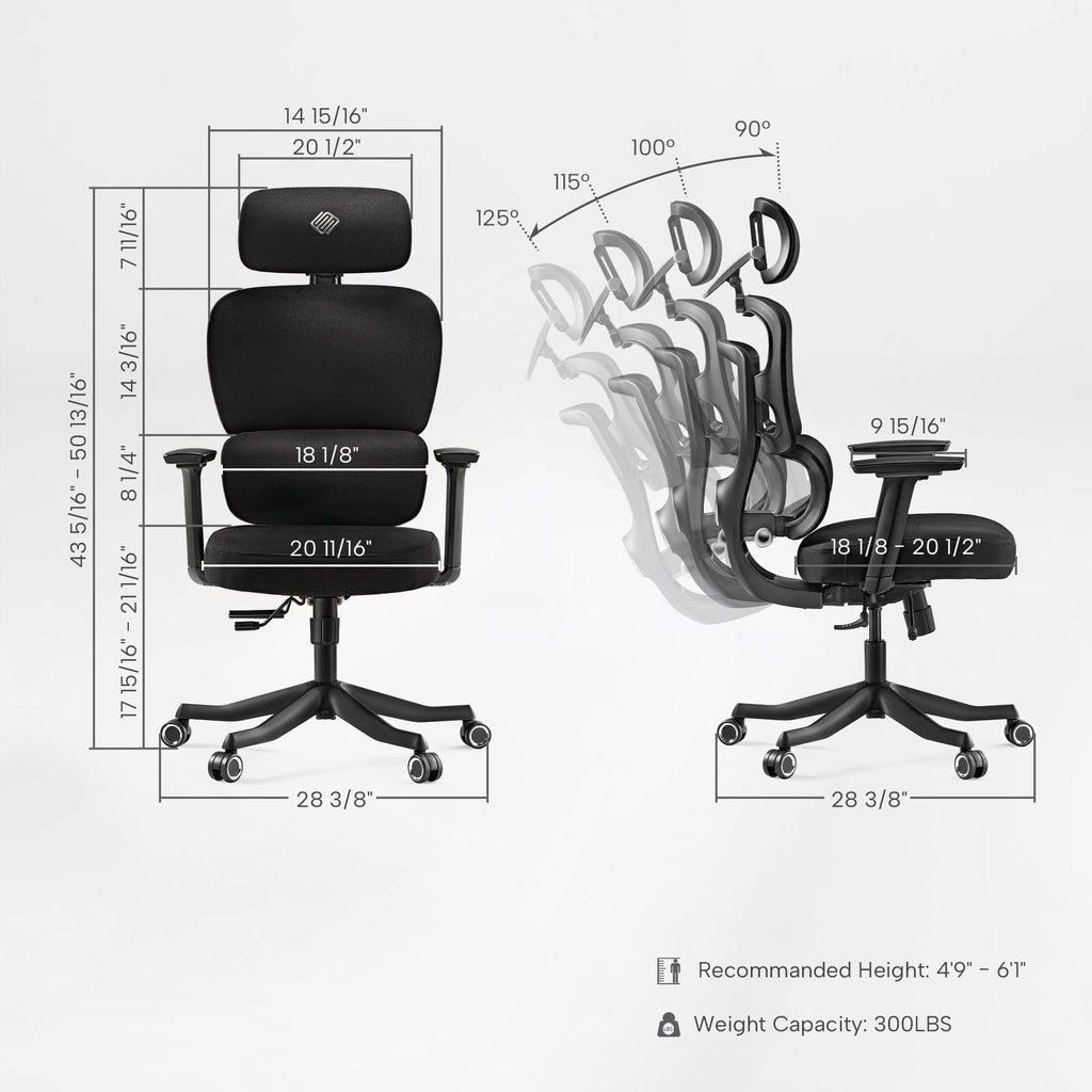 Axion, Ergonomic Hybrid Chair