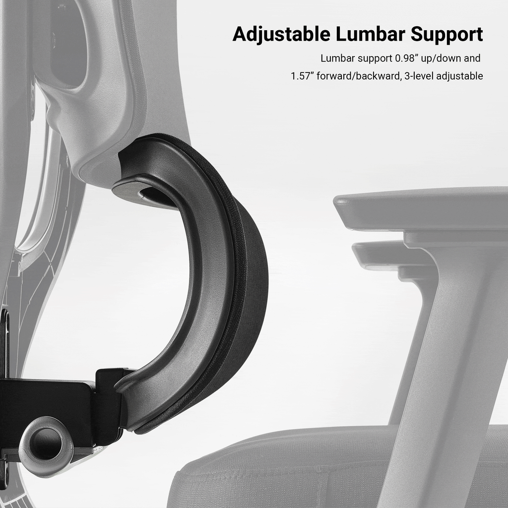 Axion, Ergonomic Hybrid Chair