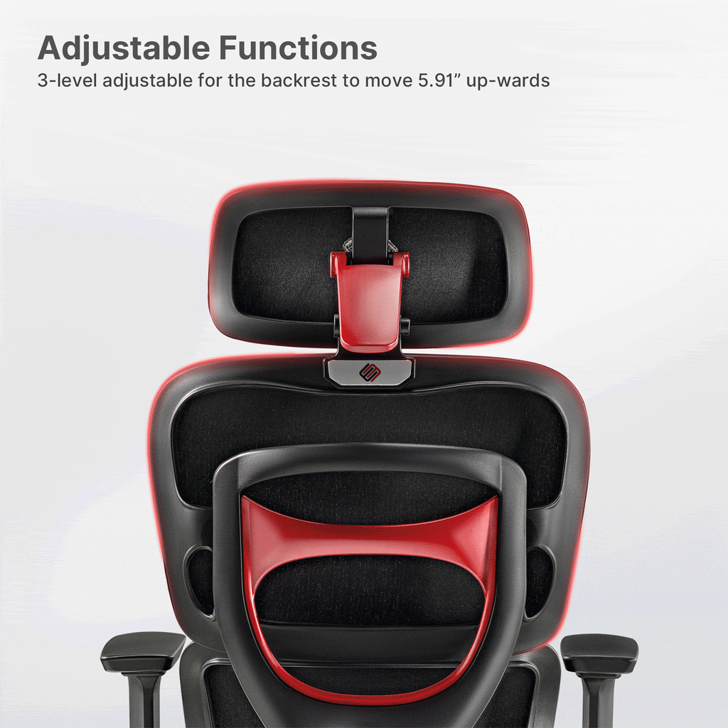 Axion, Ergonomic Hybrid Chair