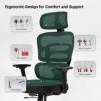 Axion, Ergonomic Hybrid Chair