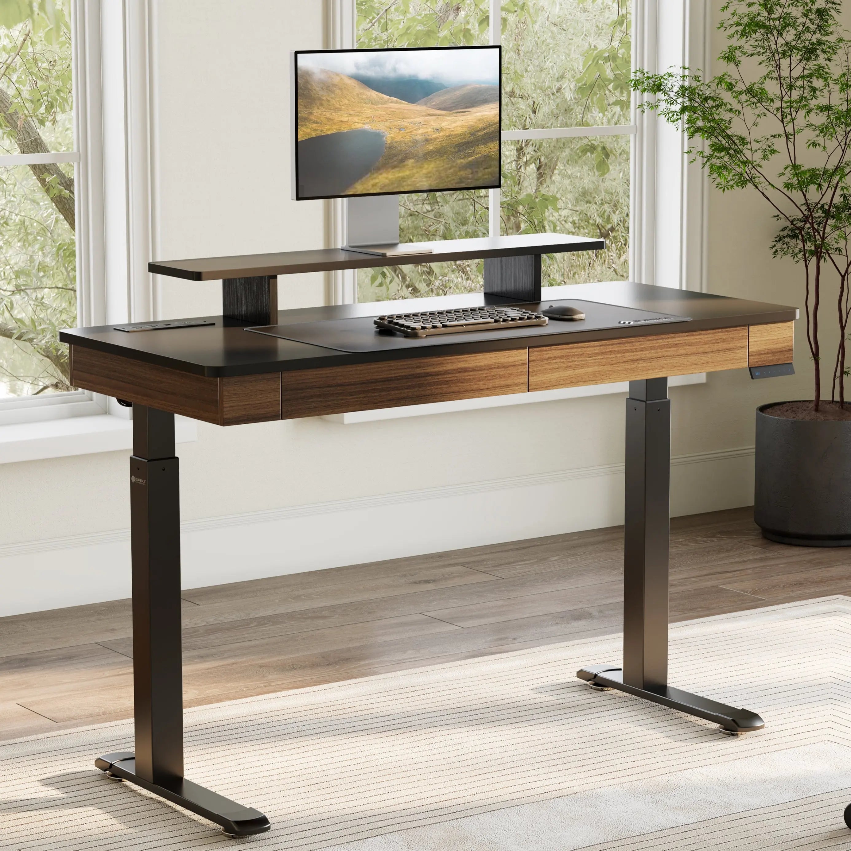 Standing Desk with Drawers, Wood Finish (47" /55")