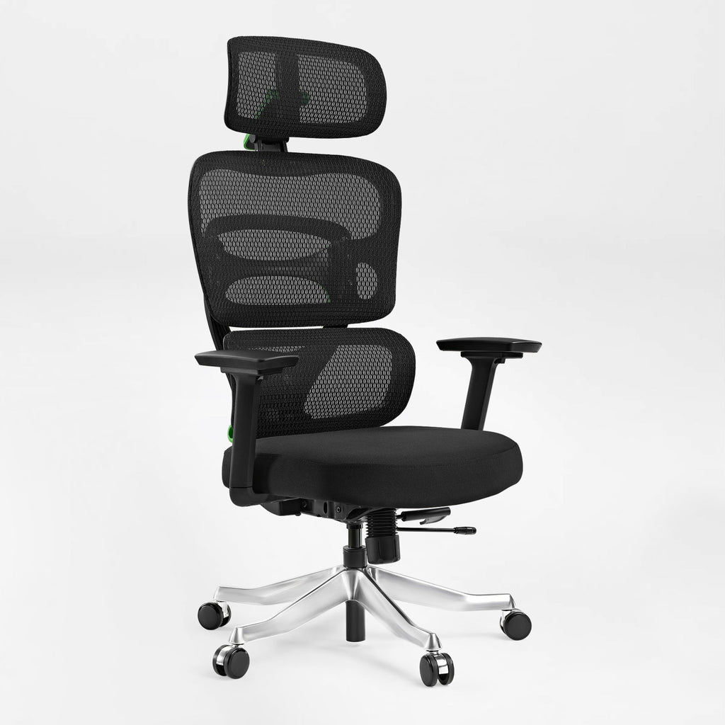 Axion, Ergonomic Hybrid Chair