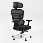 Axion, Ergonomic Hybrid Chair