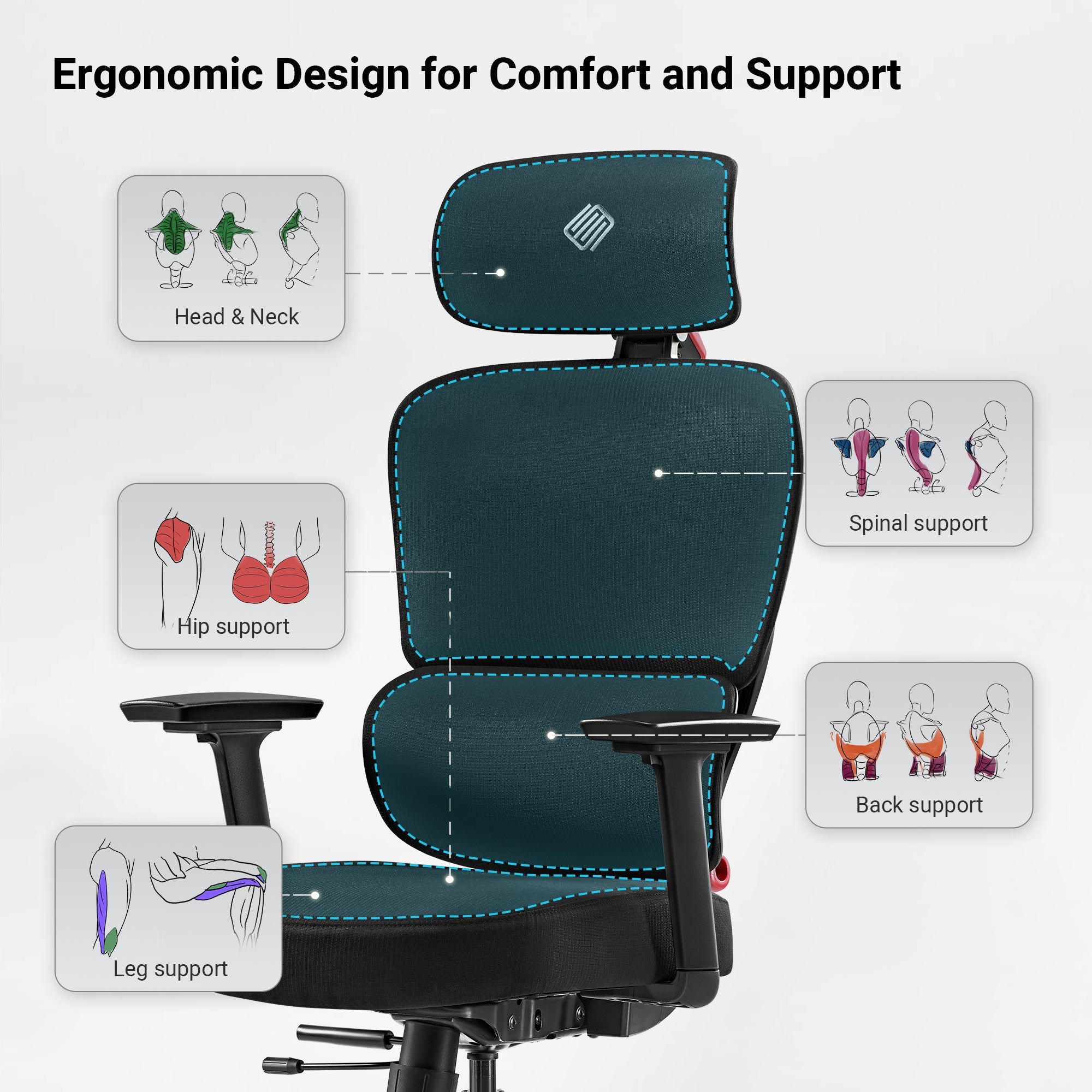 Axion, Ergonomic Hybrid Chair