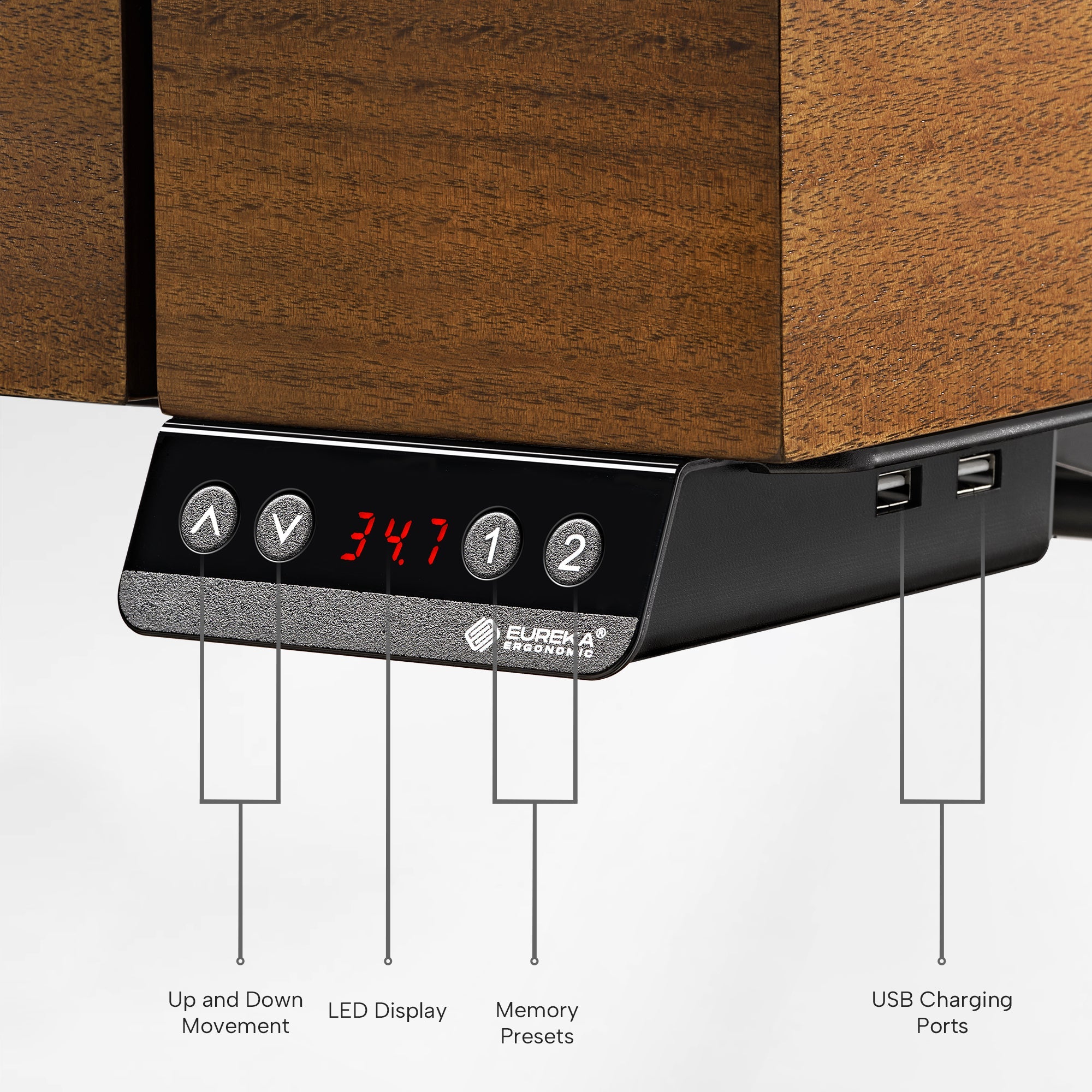 Ark Executive Standing Desk (63"x29")