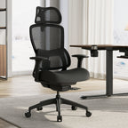 Lark, Adjustable Lumbar Ergonomic Office Chair