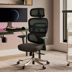 Axion, Ergonomic Hybrid Chair