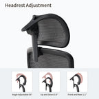 Lark, Adjustable Lumbar Ergonomic Office Chair