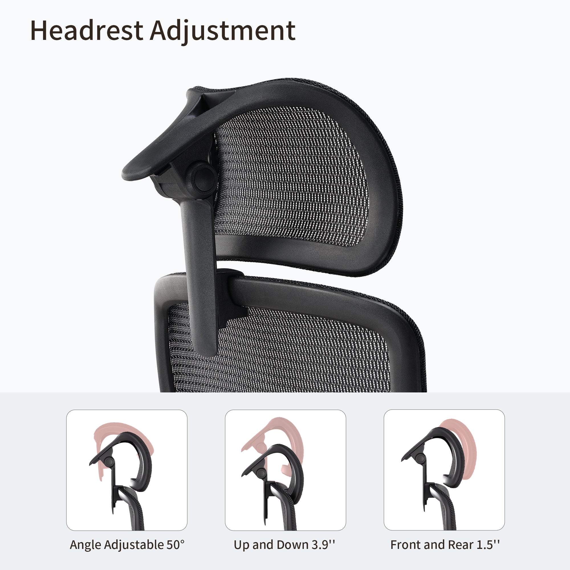 Lark, Adjustable Lumbar Ergonomic Office Chair