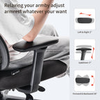 Lark, Adjustable Lumbar Ergonomic Office Chair