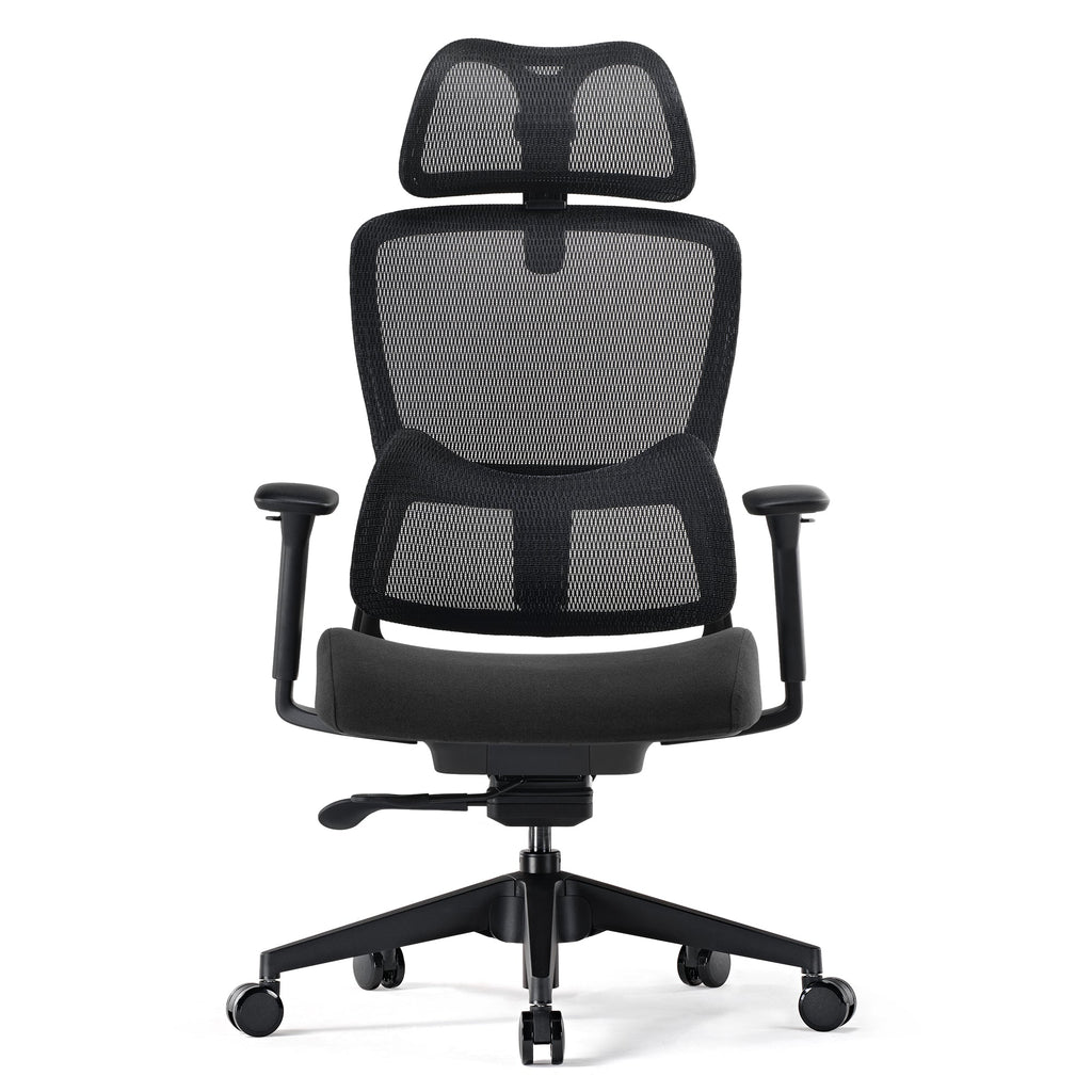Lark, Adjustable Lumbar Ergonomic Office Chair