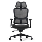 Lark, Adjustable Lumbar Ergonomic Office Chair