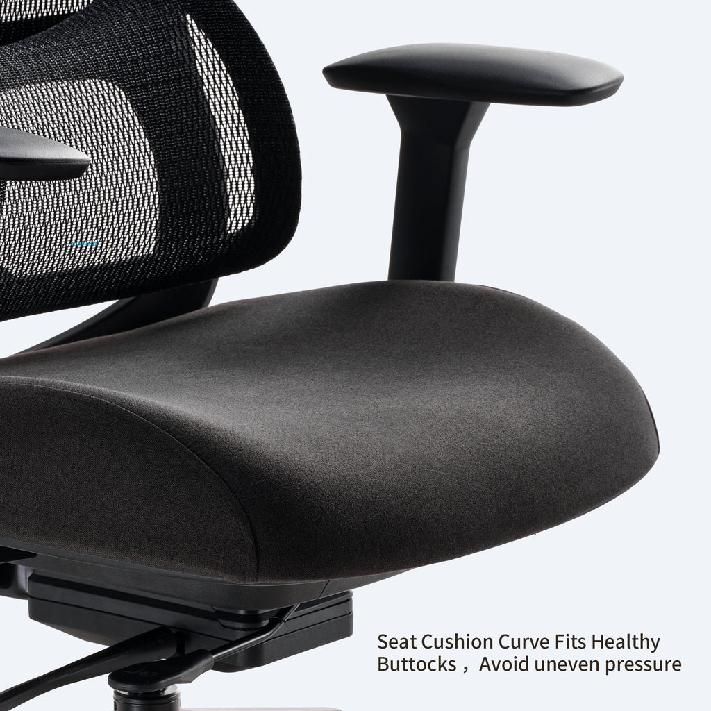 Lark, Adjustable Lumbar Ergonomic Office Chair