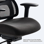 Lark, Adjustable Lumbar Ergonomic Office Chair