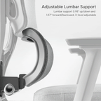 Axion, Ergonomic Hybrid Chair