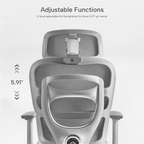 Axion, Ergonomic Hybrid Chair